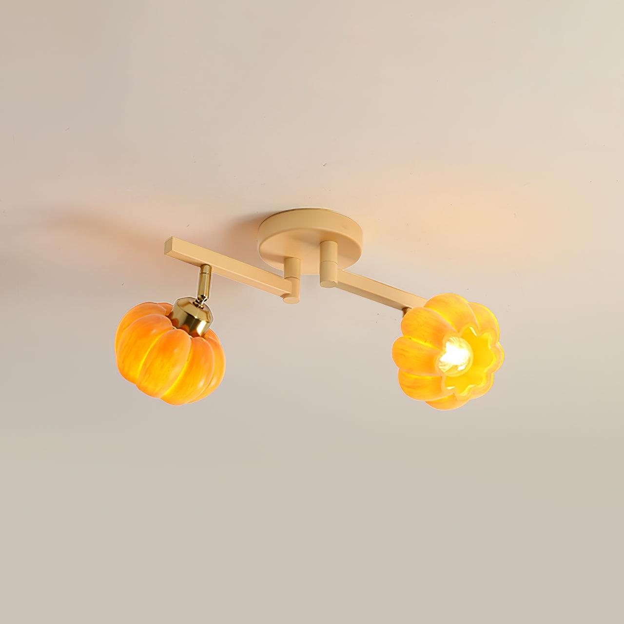 Clementine Ceiling Light