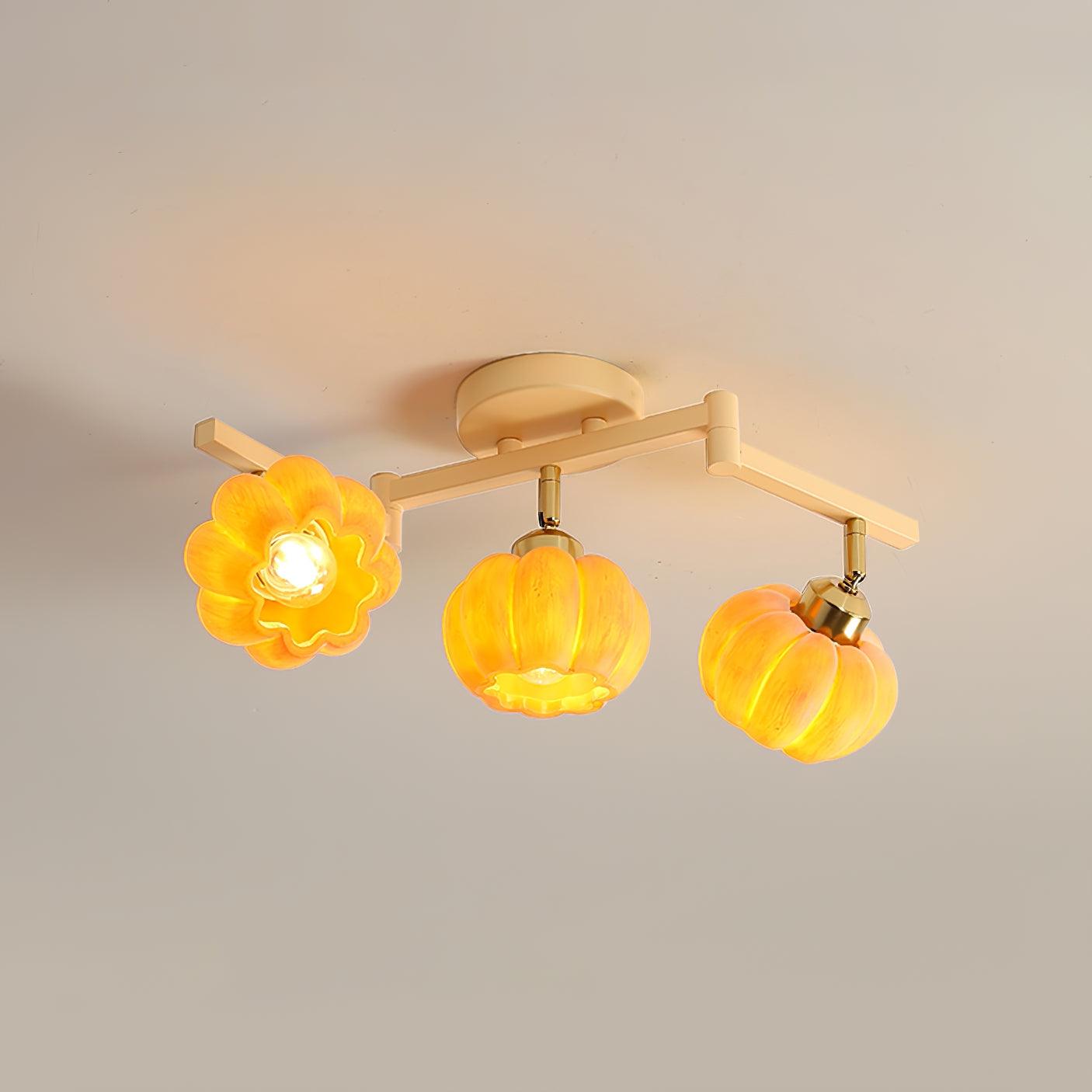 Clementine Ceiling Light