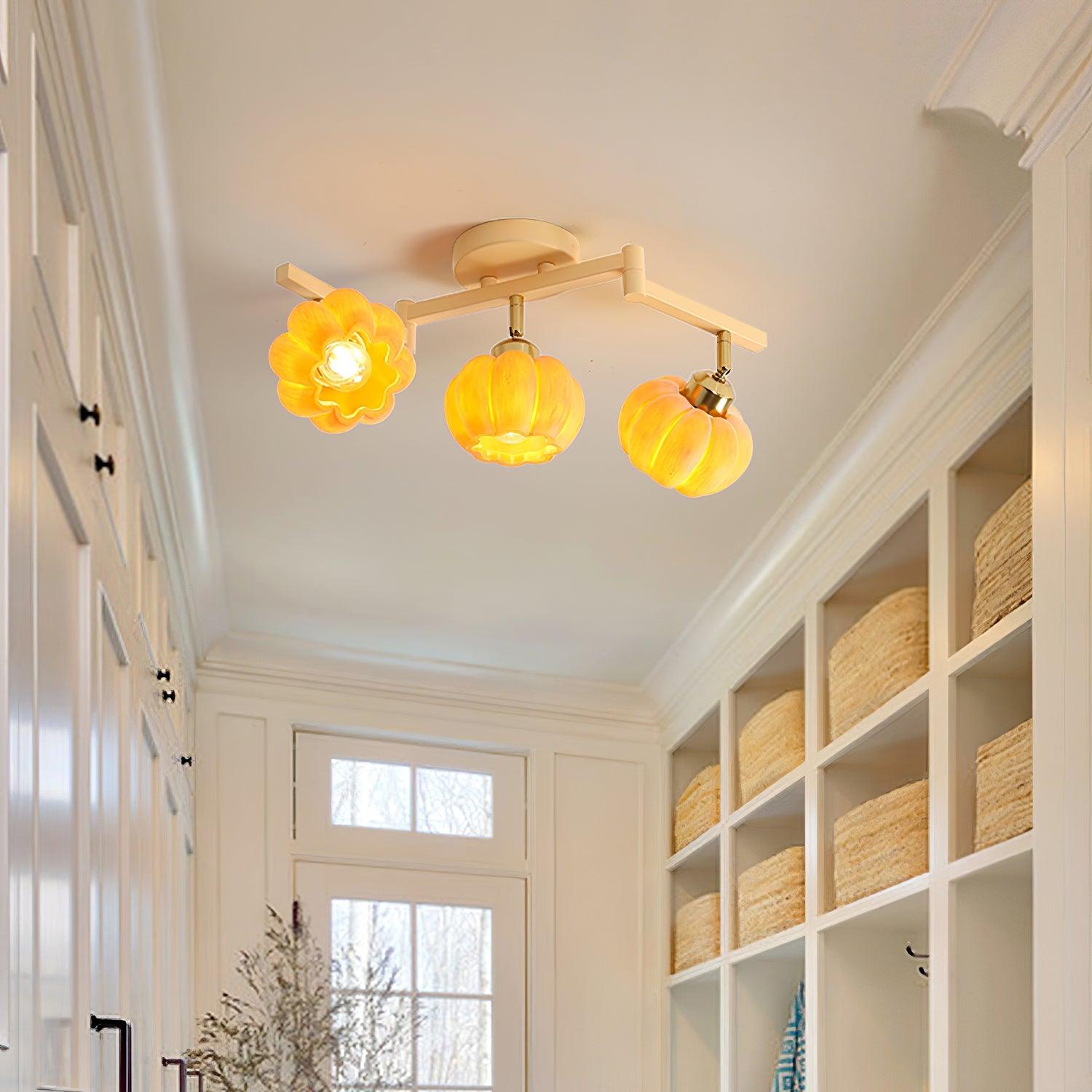 Clementine Ceiling Light