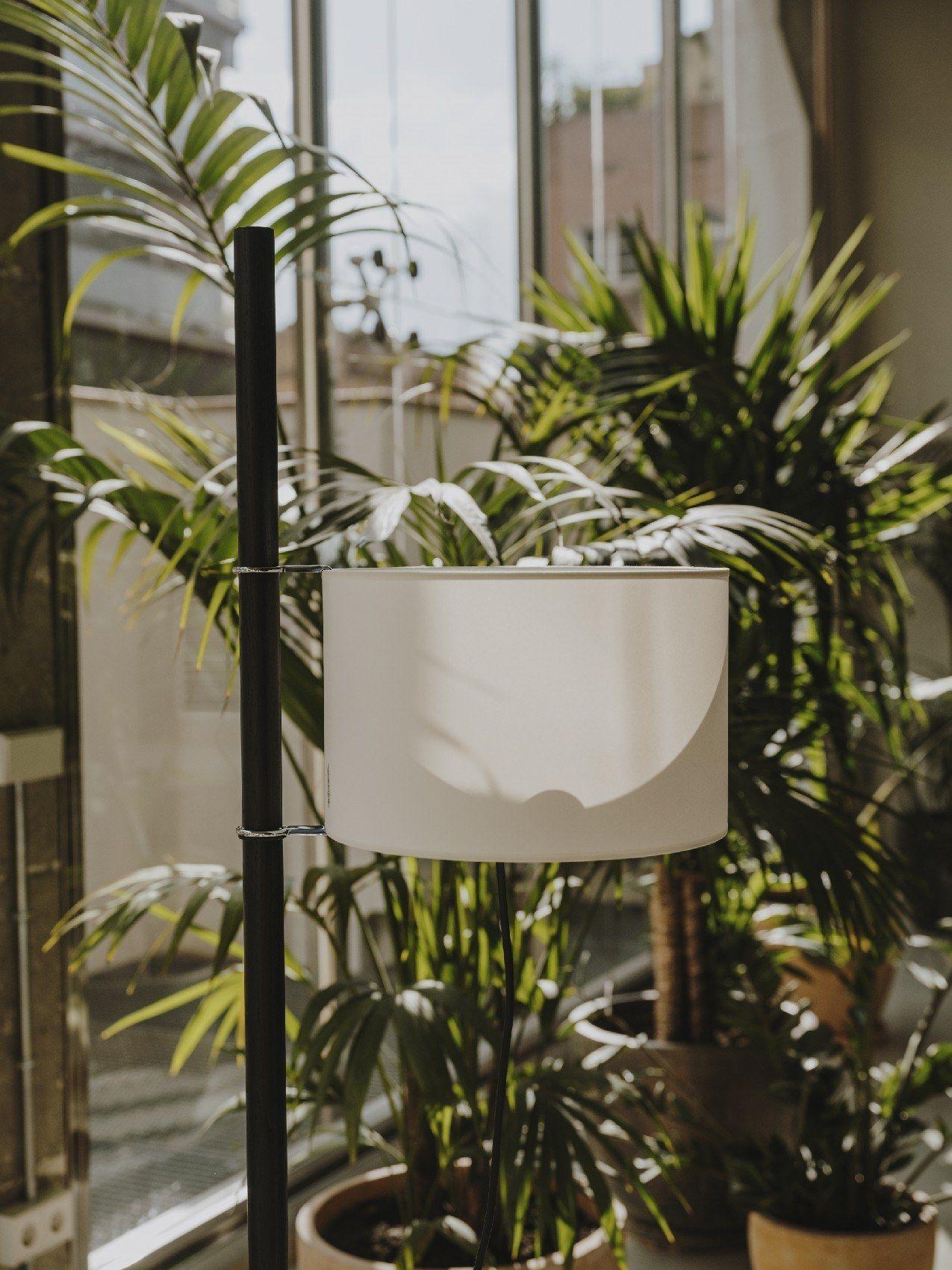 Cedric Floor Lamp