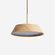 Gideon Pendant Light