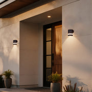 Harey Die-cast Industrial Outdoor Wall Lights