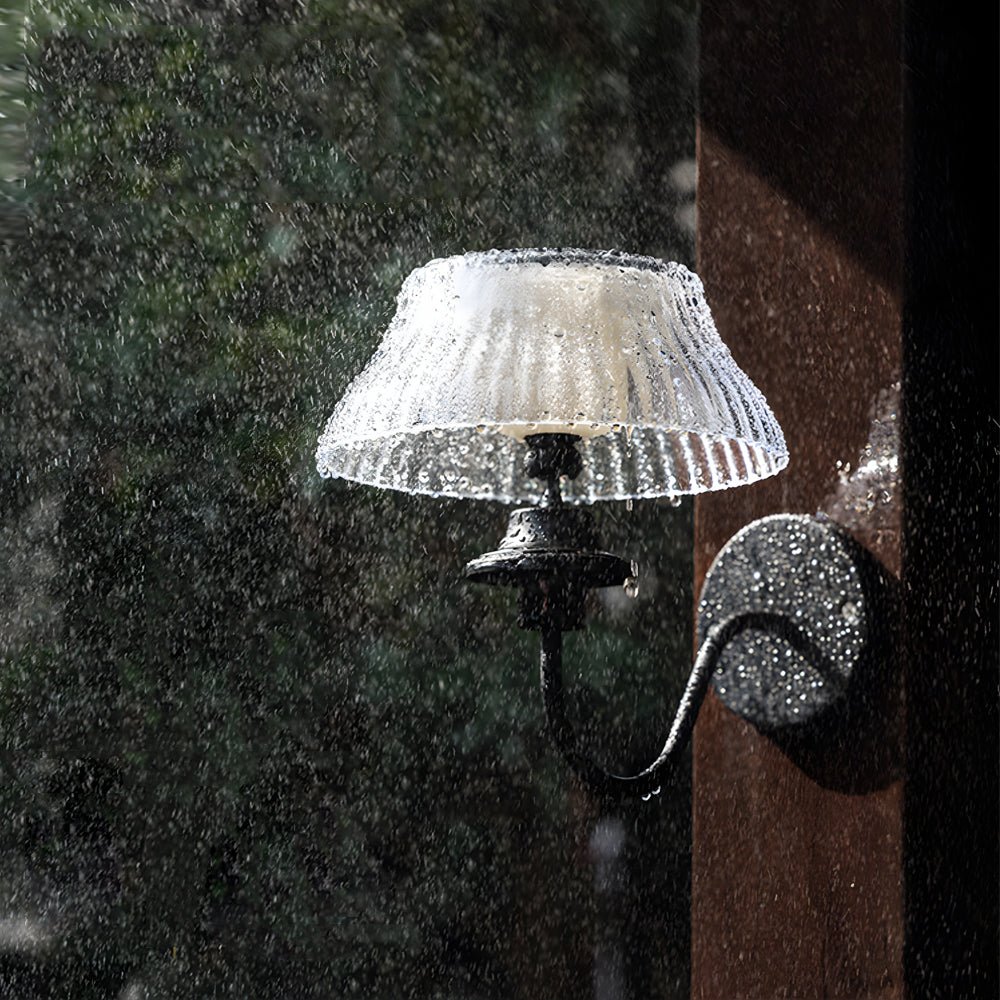 Precious lic Arm Solar Glass Outdoor Wall Light
