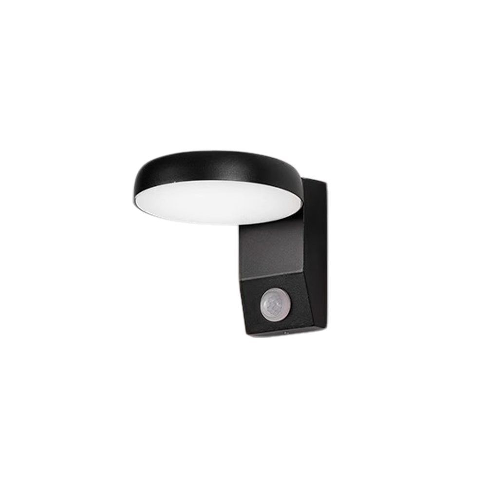 Godly Rotatable Motion Sensor Outdoor Wall Light