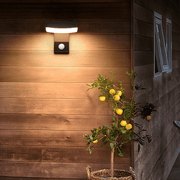 Godly Rotatable Motion Sensor Outdoor Wall Light