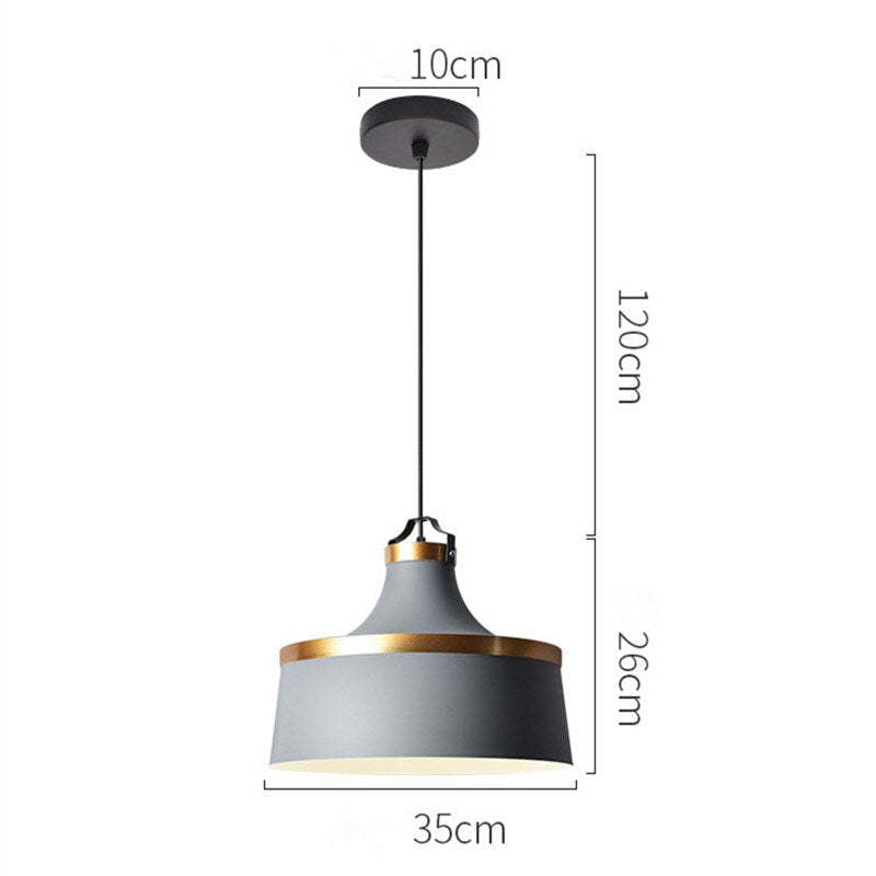 Valentina Modern Colorful Single Pendant Light, Metal Shade - Neutral Decor