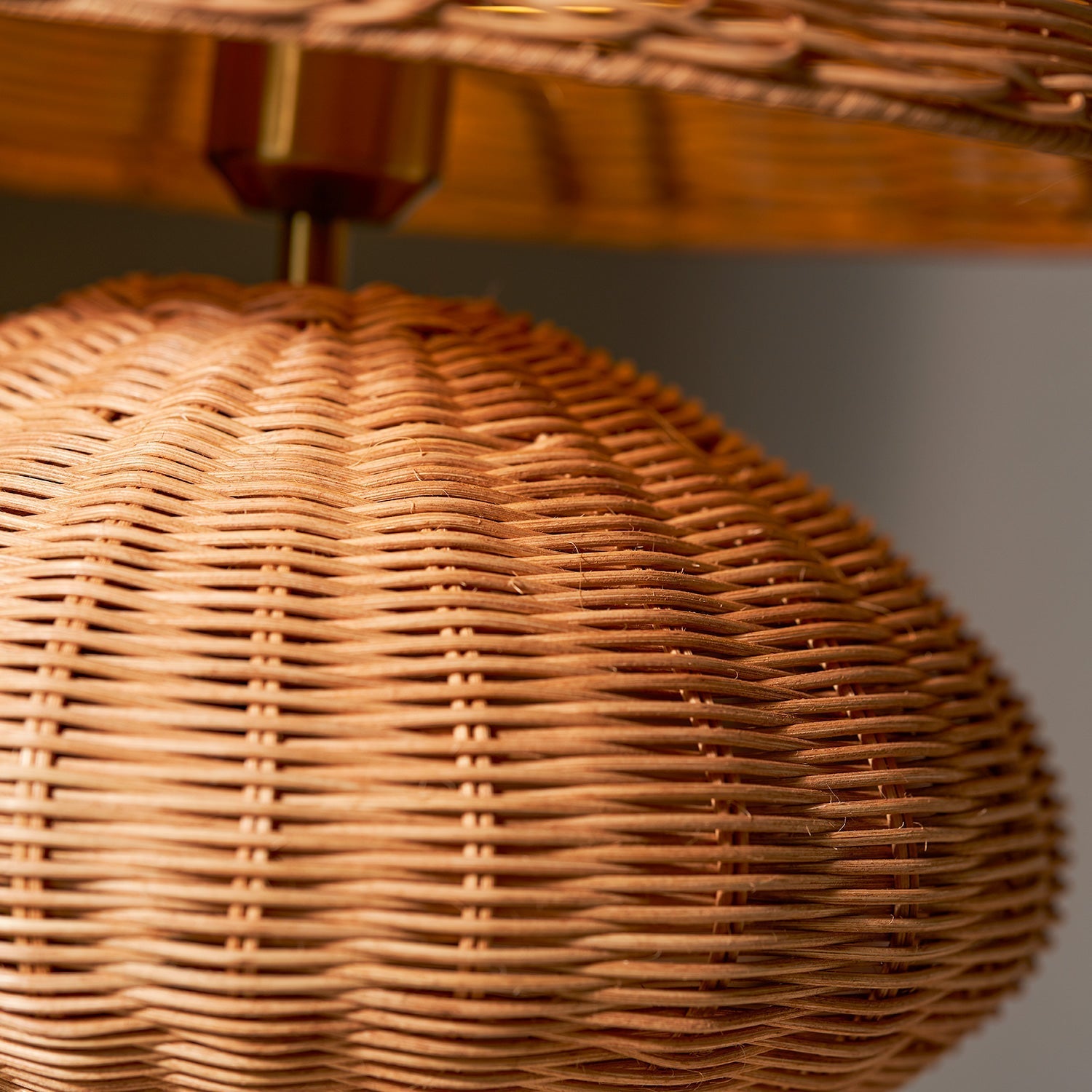 A low-angle shot emphasizing the lamp's organic form and base.