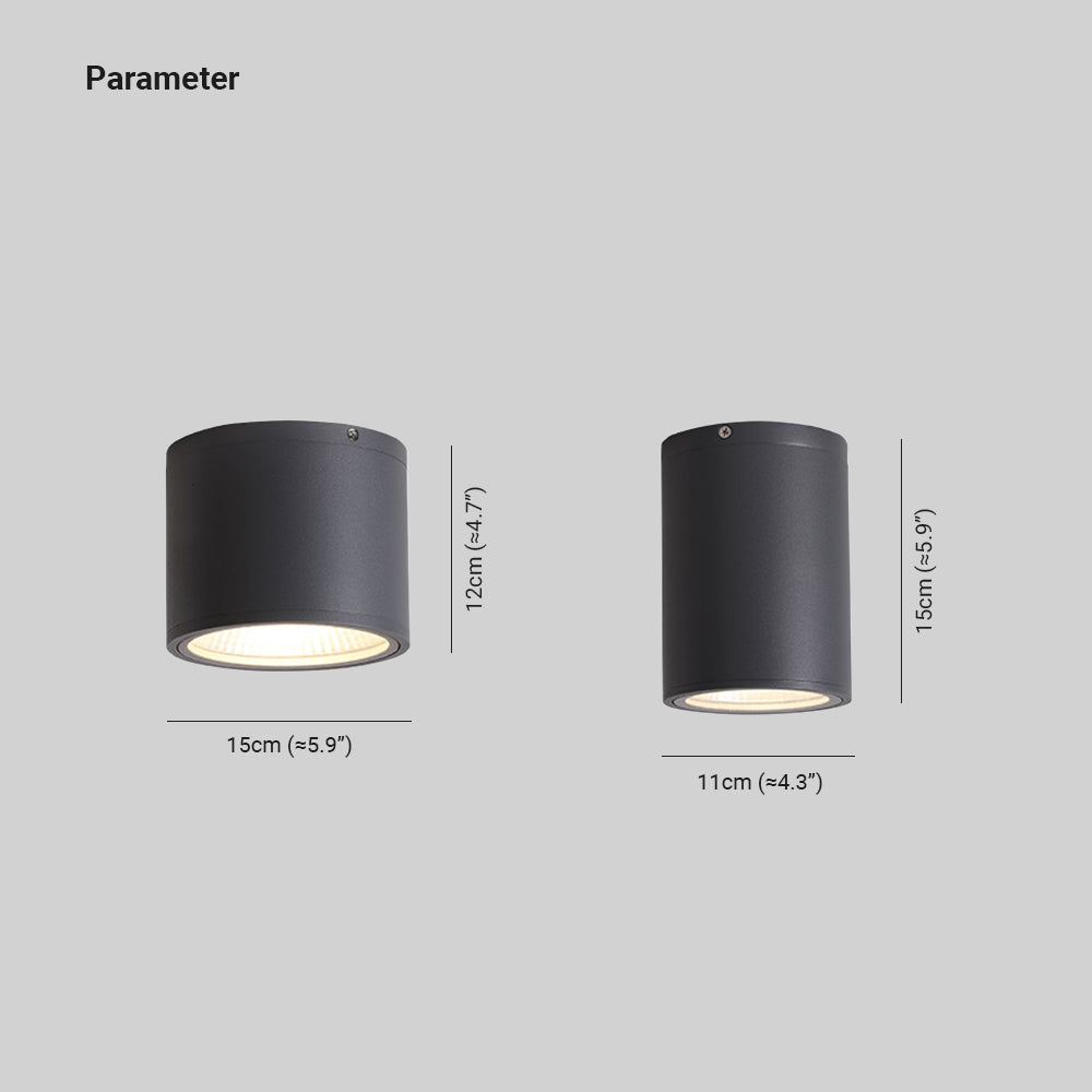 Ray Modern Black Cylindrical Flush Mount Ceiling Light Spotlight - Neutral Decor