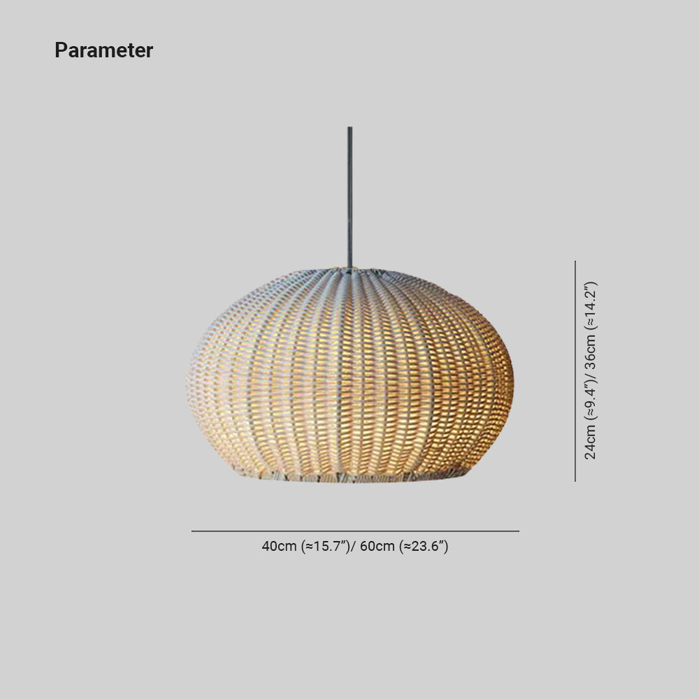 Ray Modern Lantern Pendant Light, Metal/Acrylic, Beige/Coffee - Neutral Decor