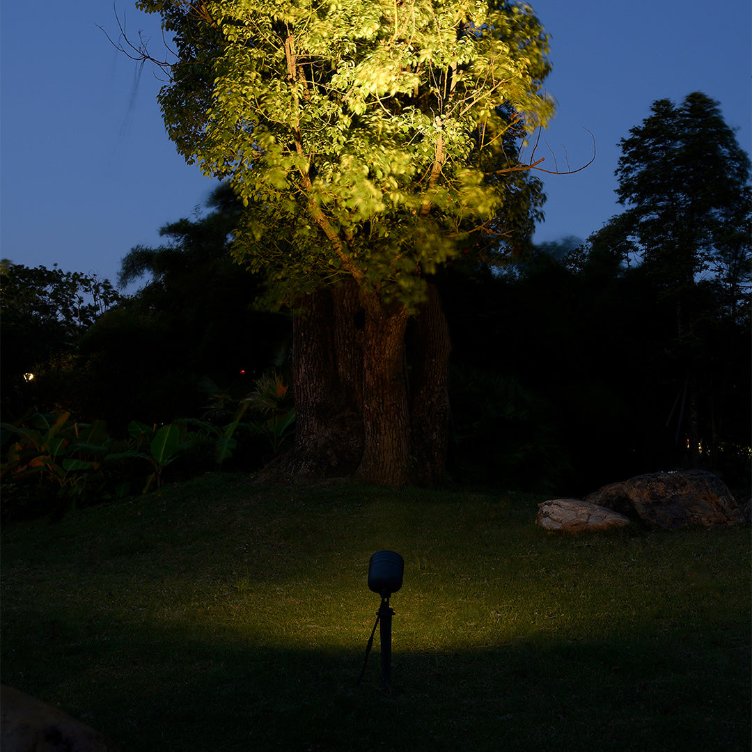 Douglas LED Stakes Modern Outdoor Lights