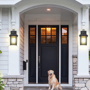 Marr LED Induction Exterior Outdoor Wall Light
