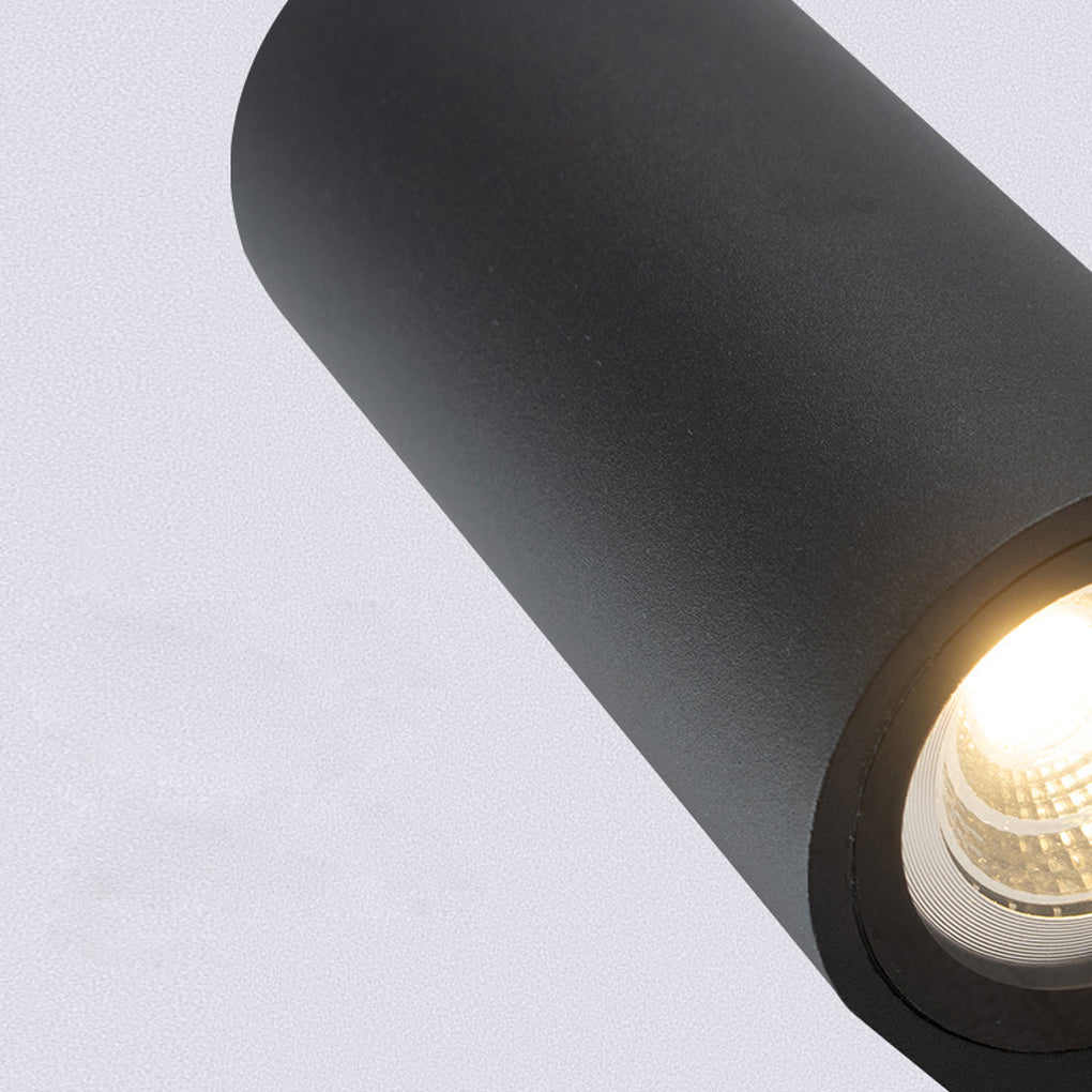 Dragon Classic LED Outdoor Wall Lights