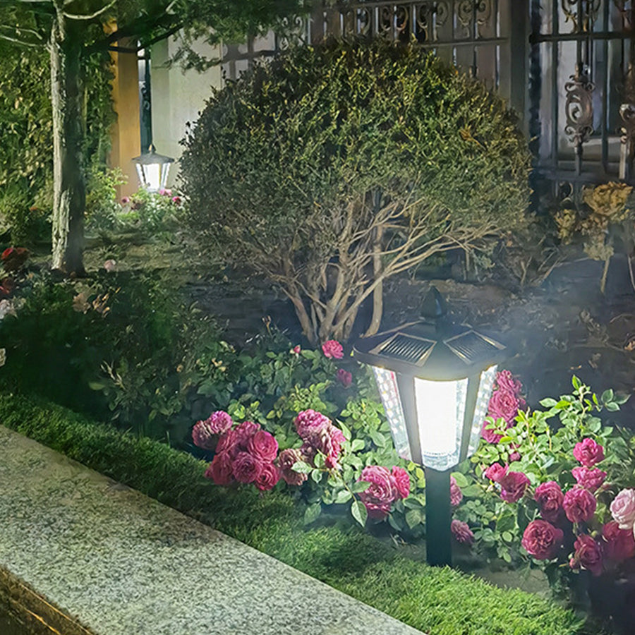 Lara Lawn Stakes Solar LED Outdoor Lights