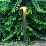 Ramon Fan-Shaped LED Outdoor Lawn Light