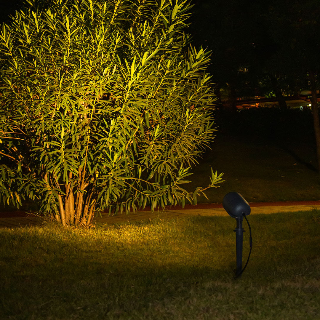 Letcia LED Classic Modern Outdoor Lights
