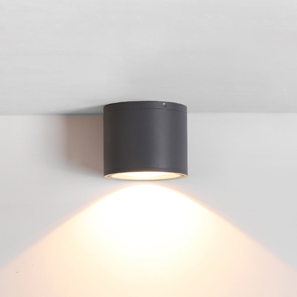 Ray Modern Black Cylindrical Flush Mount Ceiling Light Spotlight - Neutral Decor