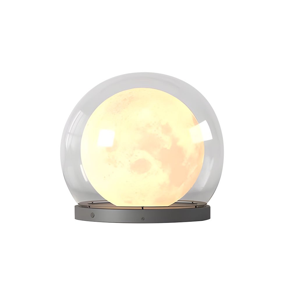 Amby Bubble Lunar Landscape Globe Steel Outdoor Lantern Light