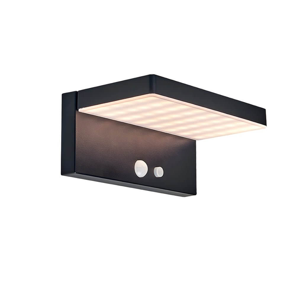 Tristan Solar LED Motion Sensor Outdoor Wall Light