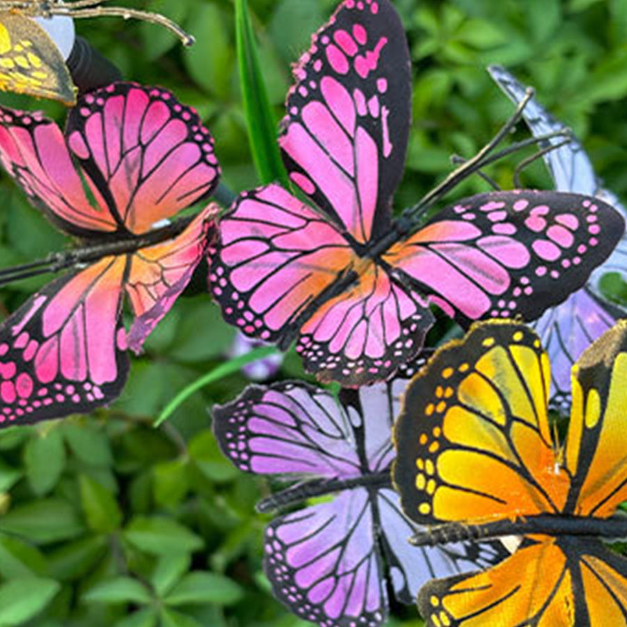 Fraces Six-Head Butterfly Solar Steel Outdoor Lights