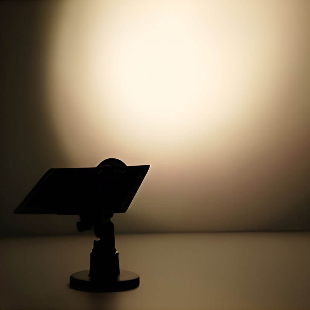 Ann Solar Adjustable Solar-Powered Outdoor Spot Light